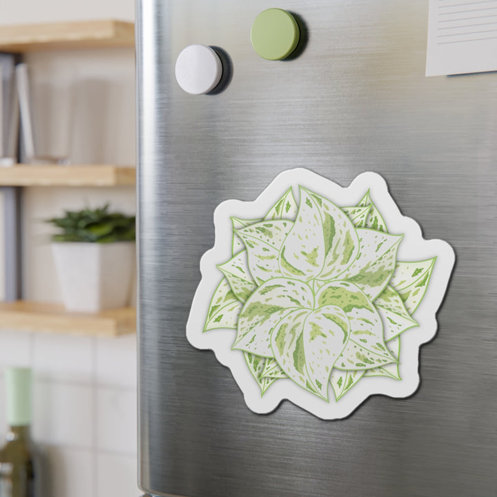Snow Queen Pothos Magnet