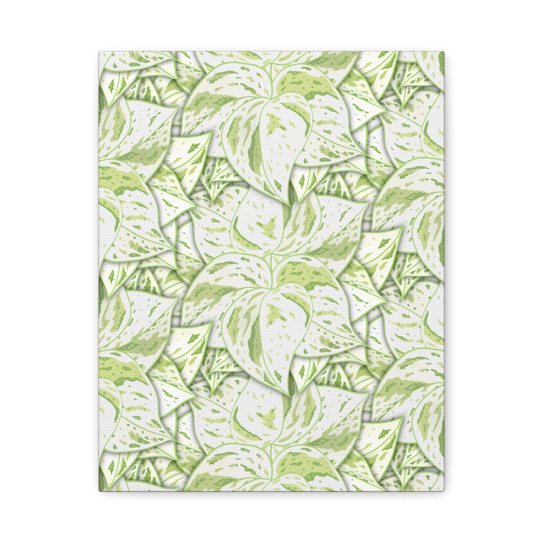Snow Queen Pothos Canvas Print With Variegated White Leaves In Matte Finish For Modern Home Decor