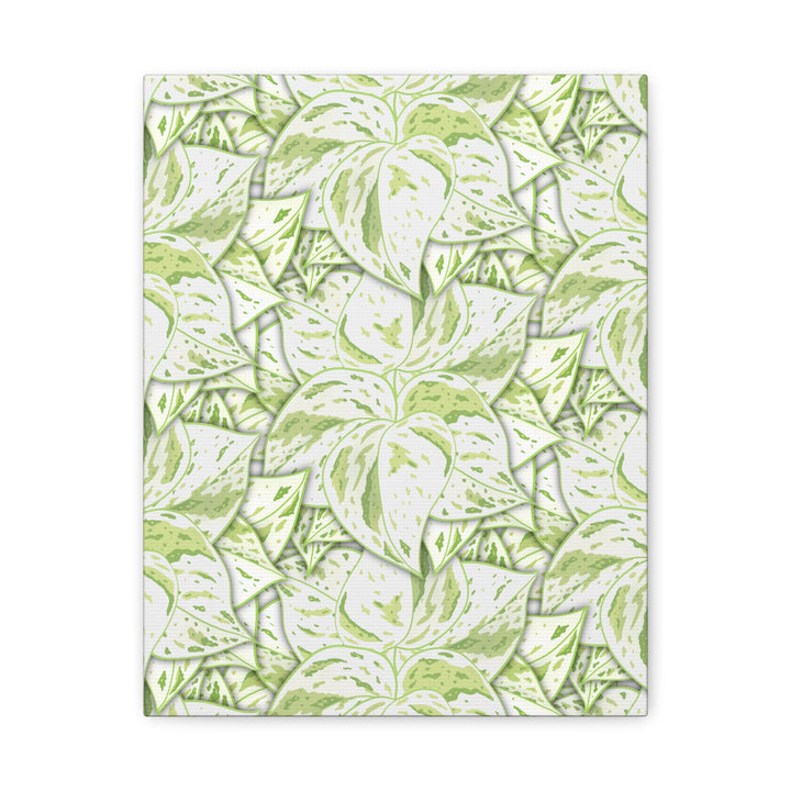 Snow Queen Pothos Canvas Print With Variegated White Leaves In Matte Finish For Modern Home Decor