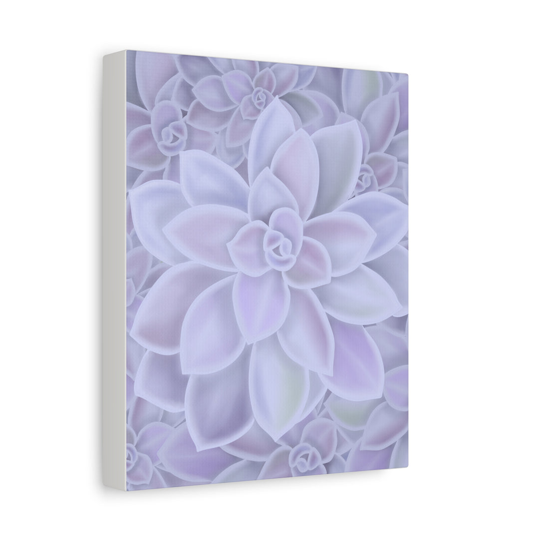 Graptopetalum Murasaki Succulent Canvas Art Print Pastel Purple Rosette Indoor Plant Decor