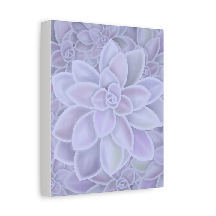 Graptopetalum Murasaki Succulent Canvas Art Print Pastel Purple Rosette Indoor Plant Decor