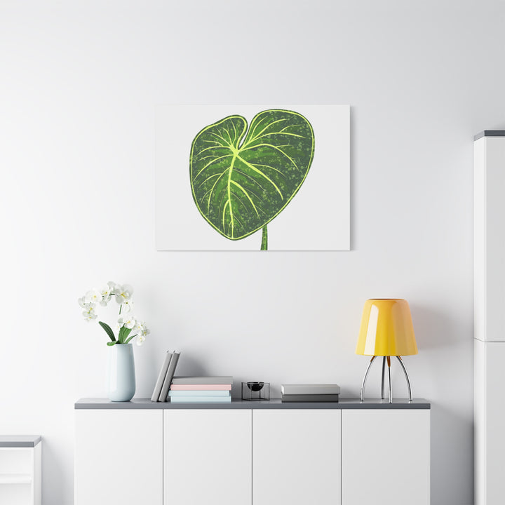 Philodendron Gloriosum Canvas Print Stretched Wall Art Botanical Leaf Print Matte Finish Gallery Wrapped Canvas