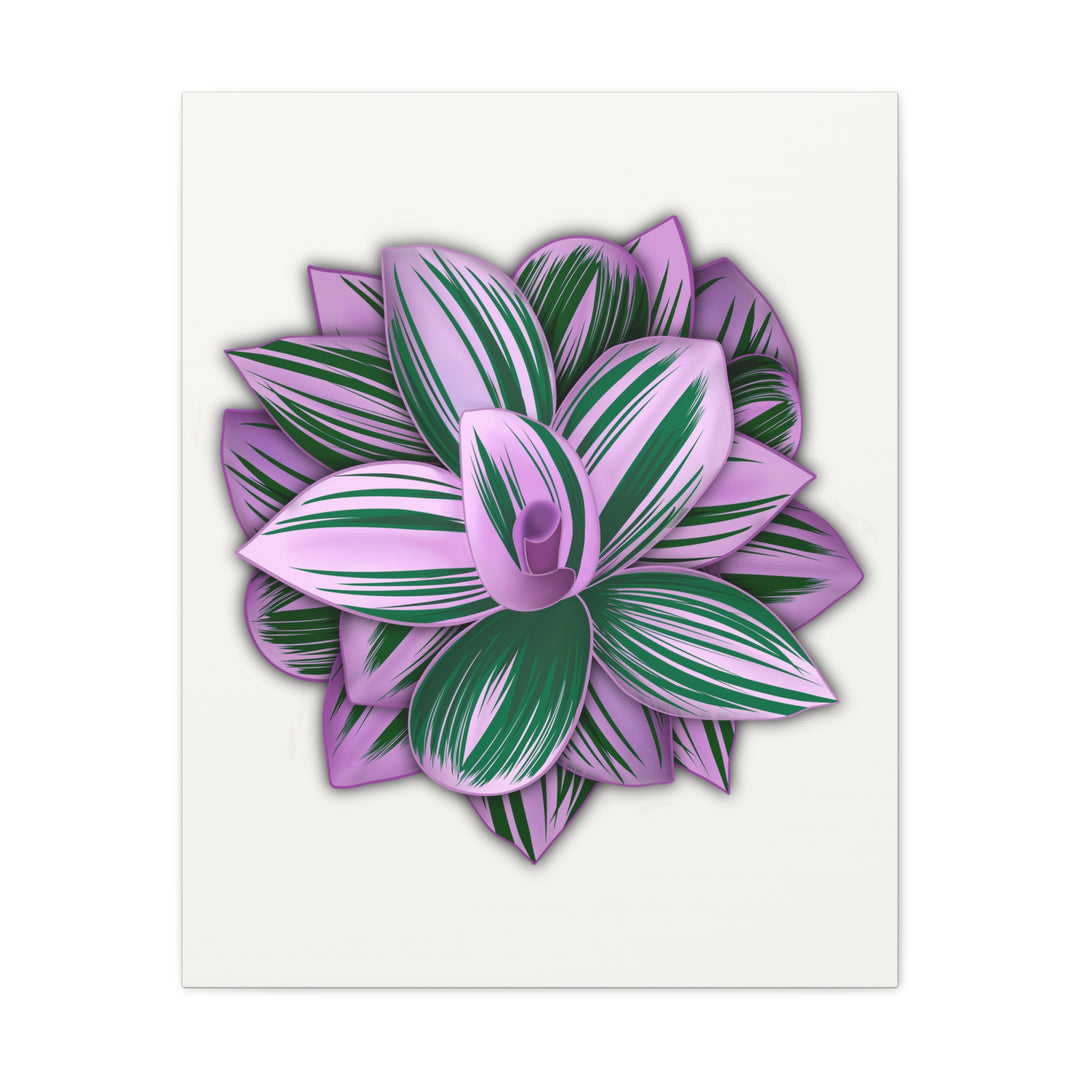 Tradescantia Nanouk Canvas Botanical Wall Art Print Pink Green Foliage On Stretched Cotton Canvas