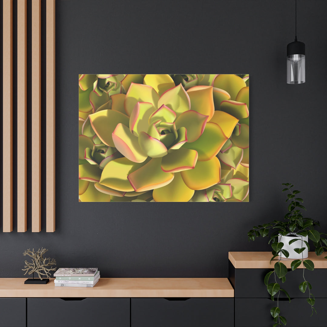 Succulent Canvas Art Vibrant Aeonium Print On Matte Canvas Wall Decor 12x18 Inches Indoor Home