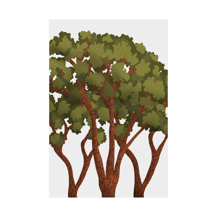 Pacific Madrone Print – Unframed Wall Art