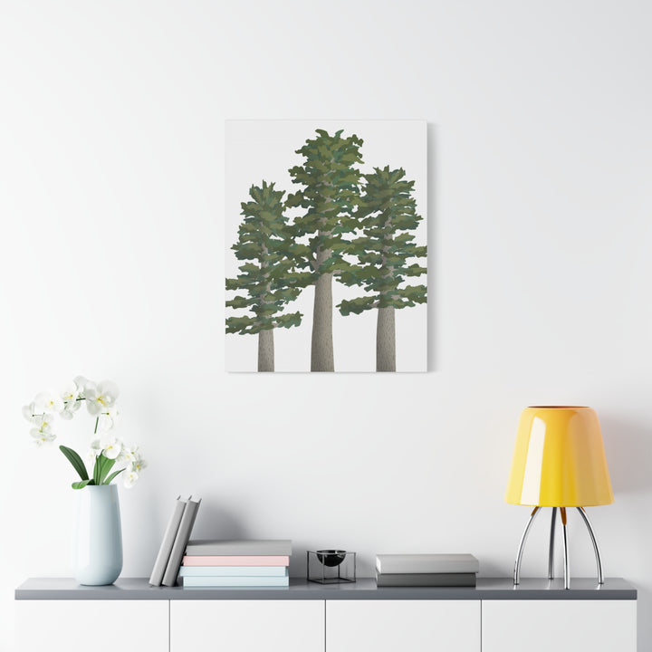 Sitka Spruce Canvas Print – Wall Art