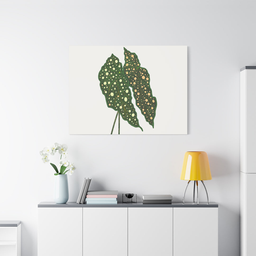 Begonia Maculata Canvas Premium Botanical Wall Art Print On Cotton Canvas With Matte Finish For Indoor Decor