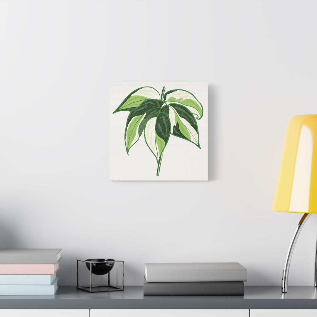 Philodendron Canvas Print Cream Splash Variegated Plant Art On Matte Cotton Canvas For Home Wall Decor