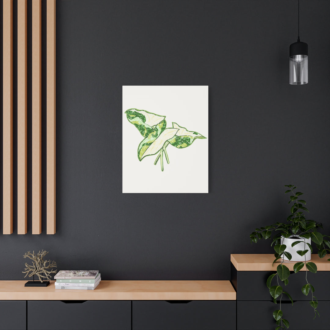Marble Syngonium Canvas Botanical Wall Art Stretched Print On Durable Cotton Canvas Matte Finish
