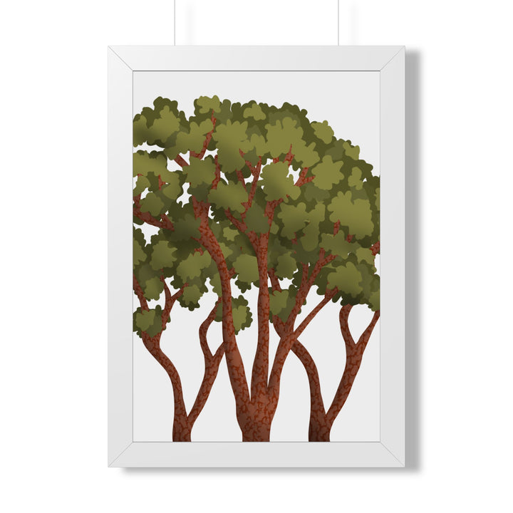 Pacific Madrone Framed Print – Wall Art