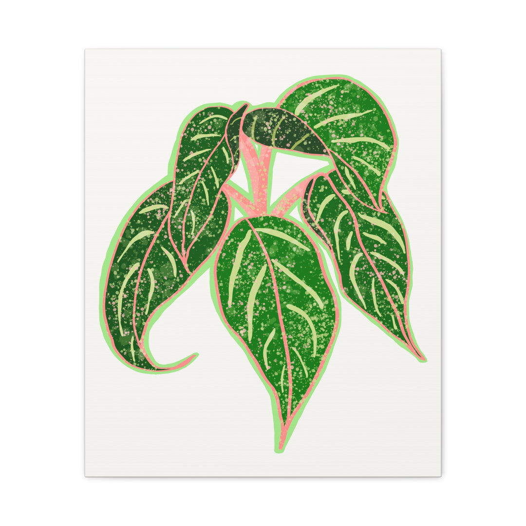 Aglaonema Sparkling Sarah Botanical Canvas Print On Matte Stretch Canvas For Modern Living Room Decor