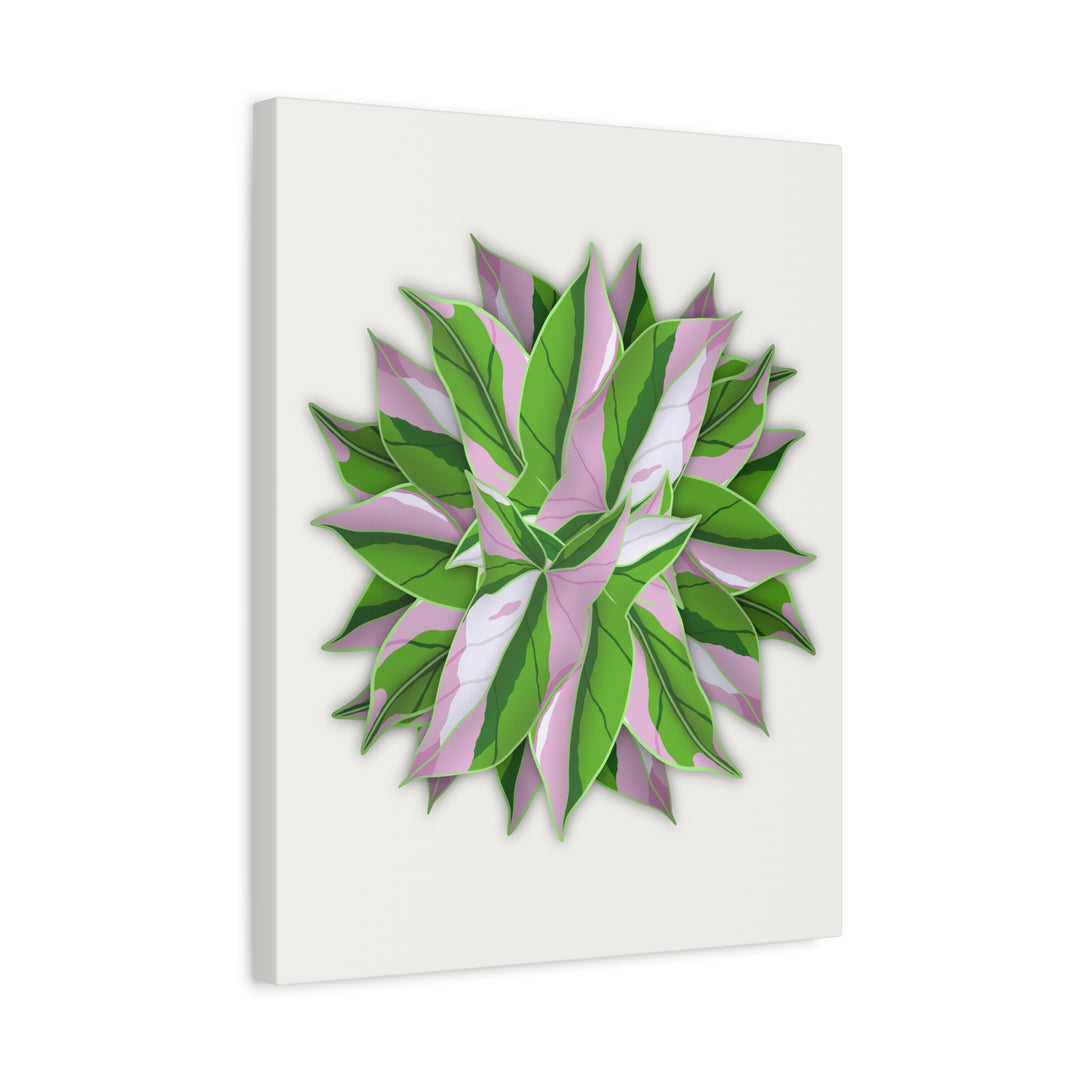 Syngonium Tricolor Canvas Print – Botanical Wall Art - The Potted Pixel