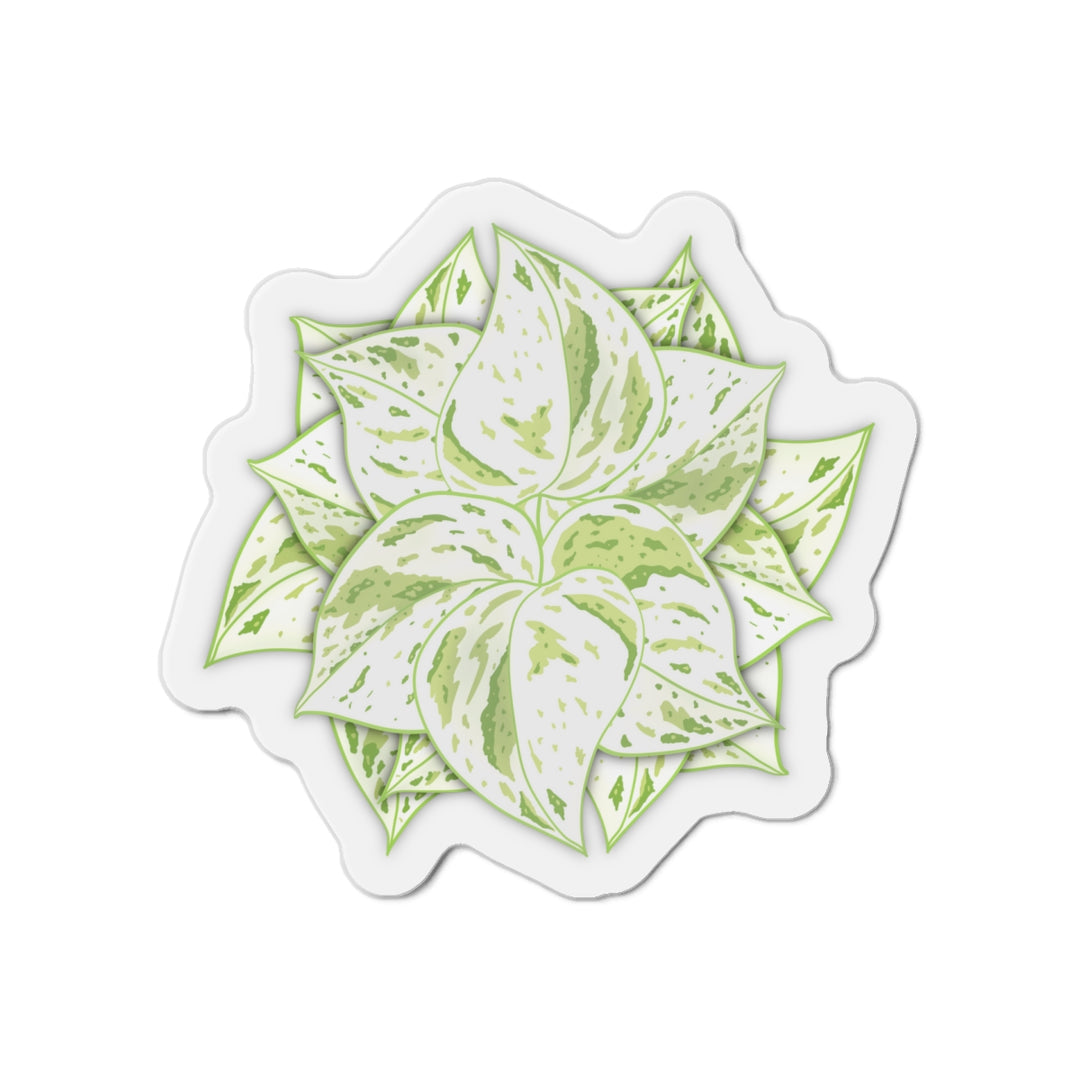 Snow Queen Pothos Magnet