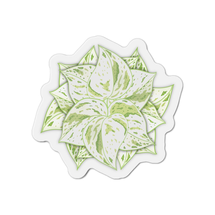 Snow Queen Pothos Magnet