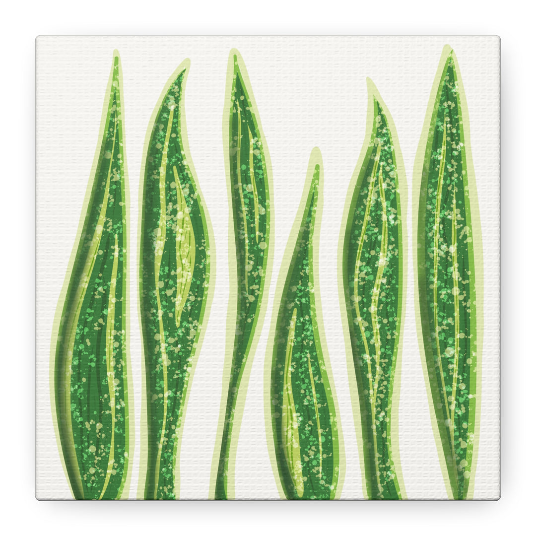 Snake Plant Canvas Print Matte 1.25 Inch Stretch Canvas Wall Art For Living Room Decor