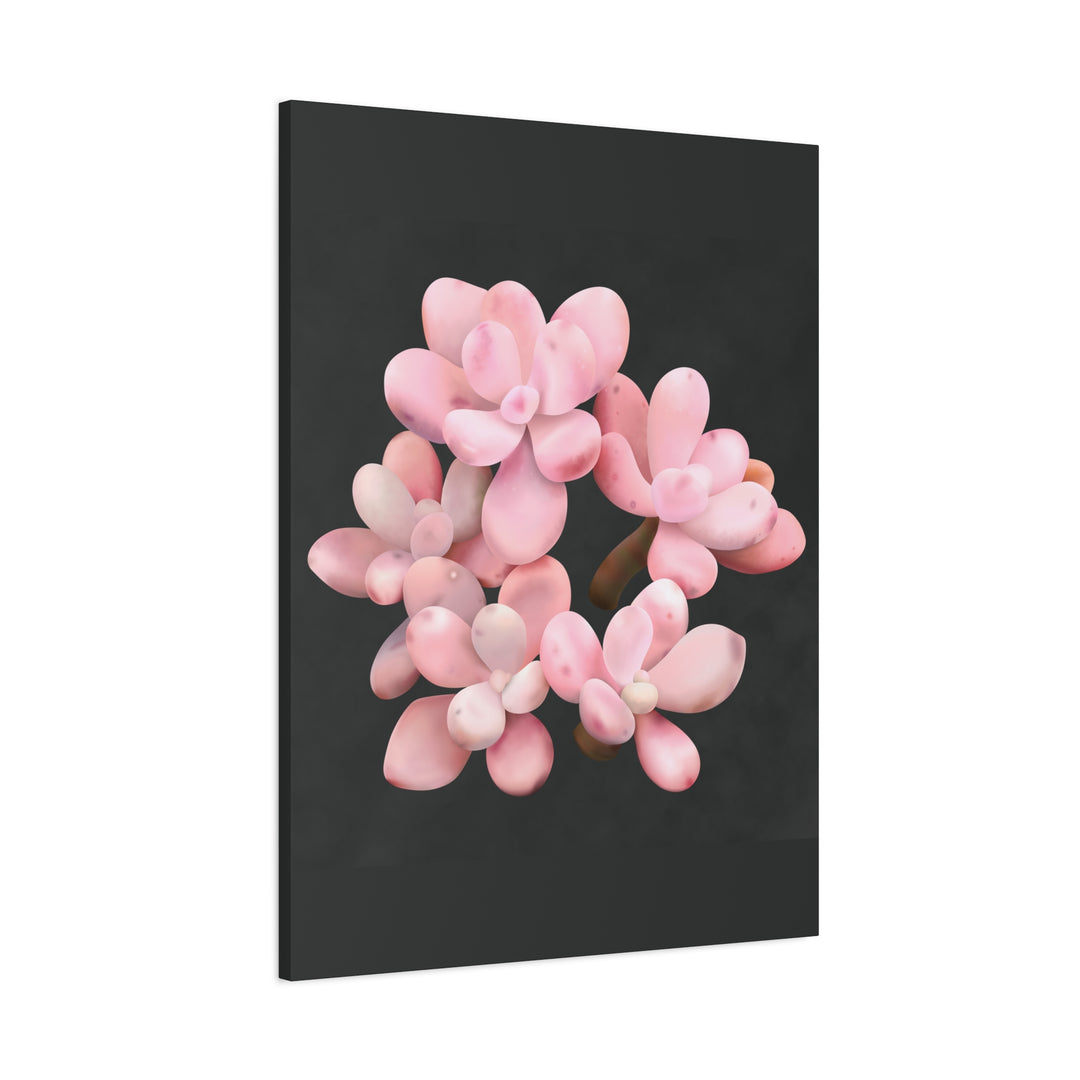 Pink Moonstone Canvas Print – Botanical Wall Art