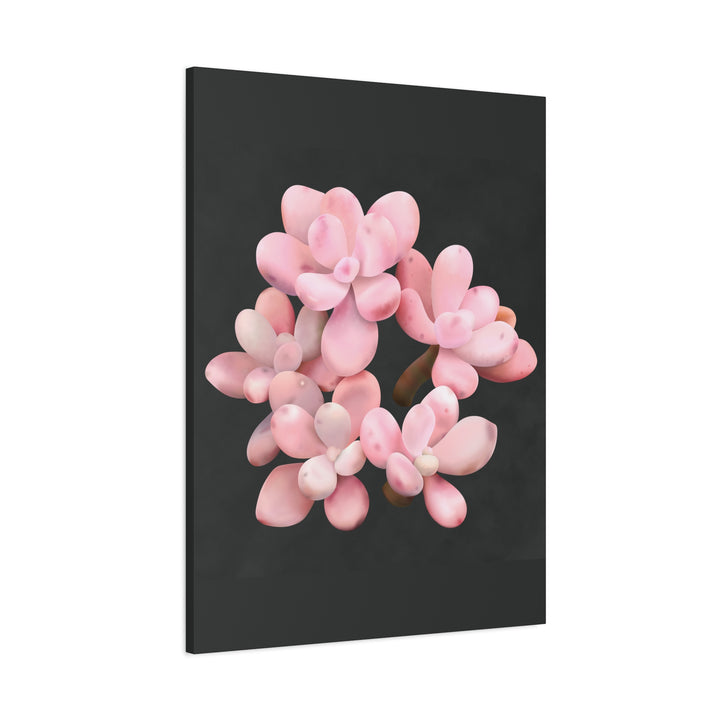 Pink Moonstone Canvas Print – Botanical Wall Art