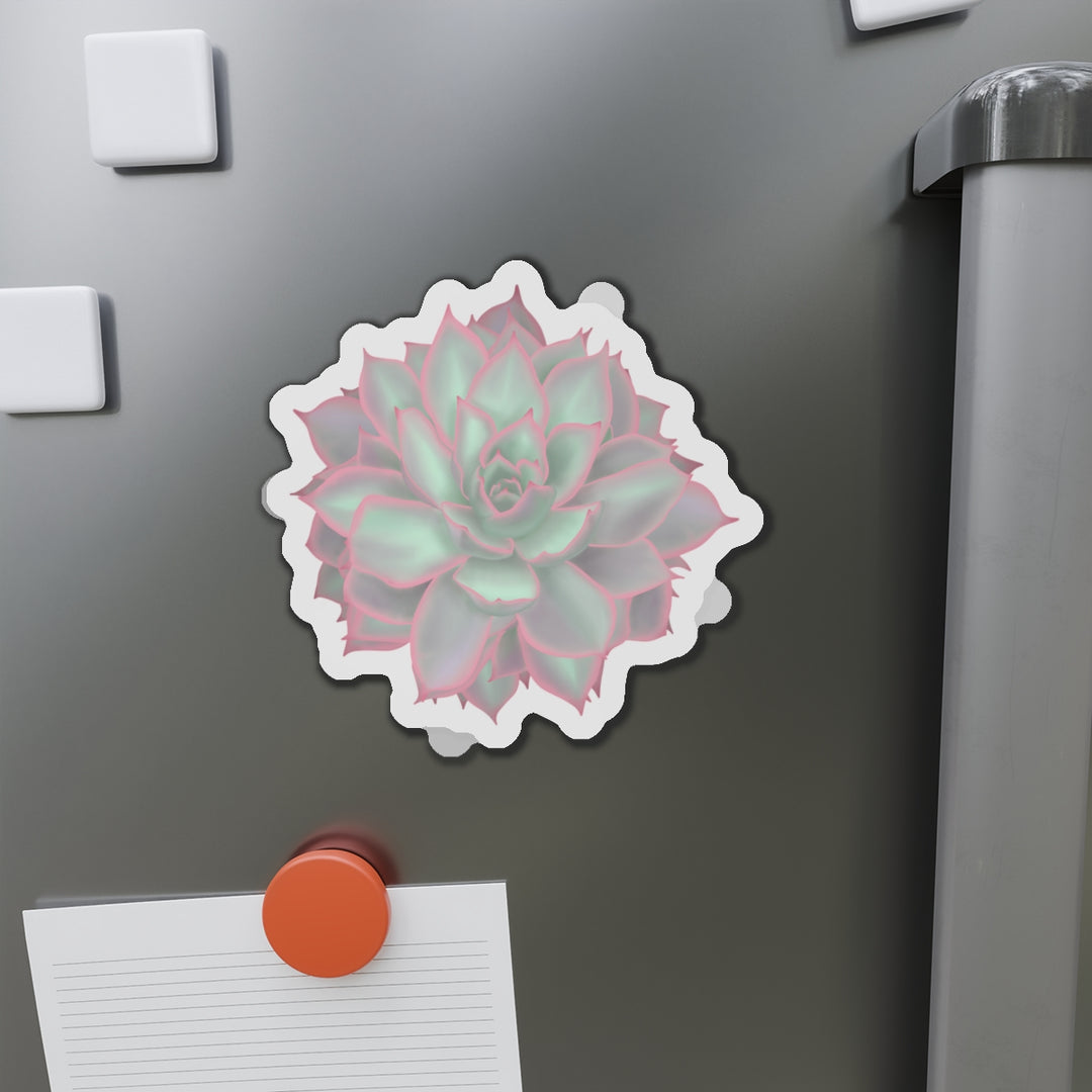 Echeveria Violet Queen Succulent Magnet