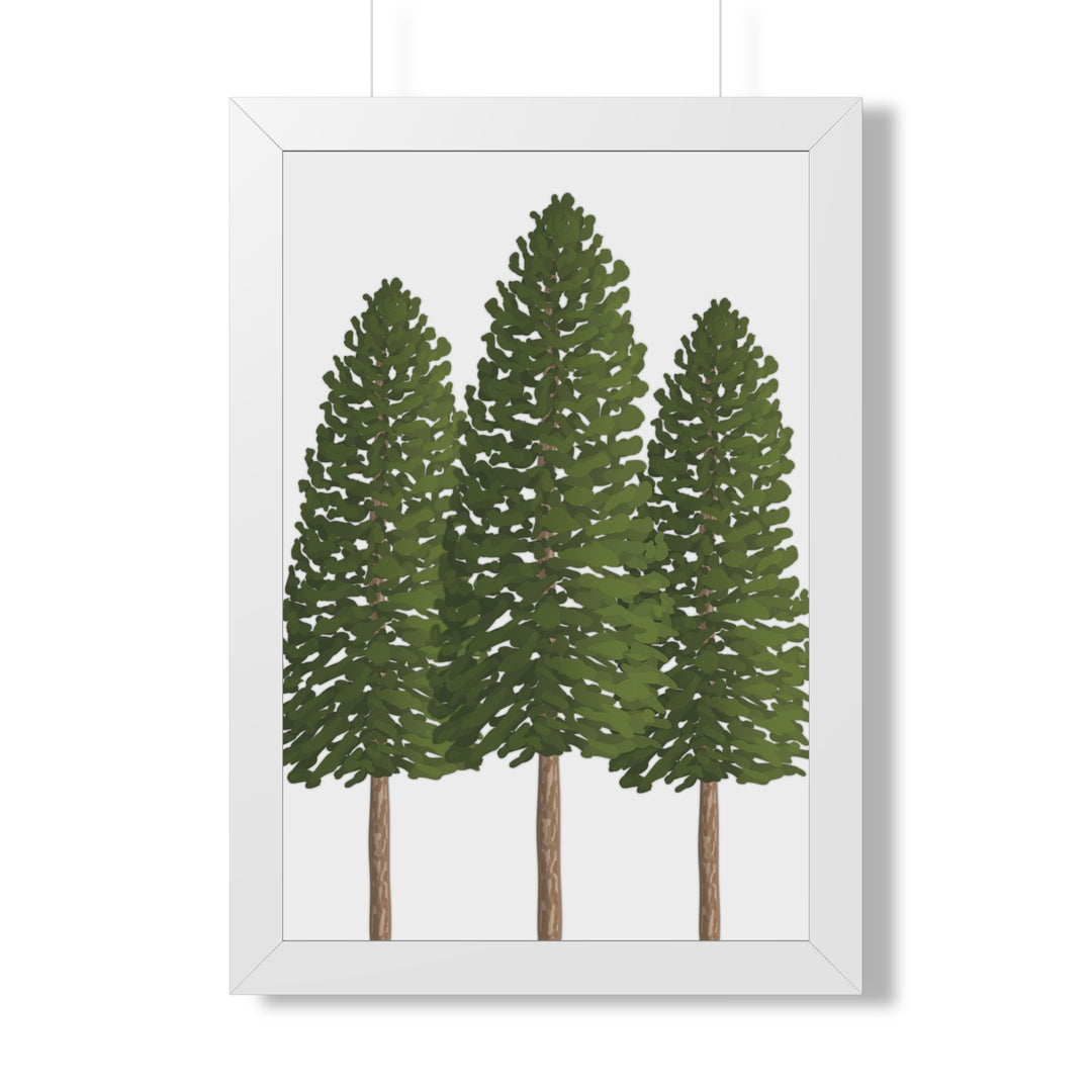 Ponderosa Pine Framed Print – Wall Art