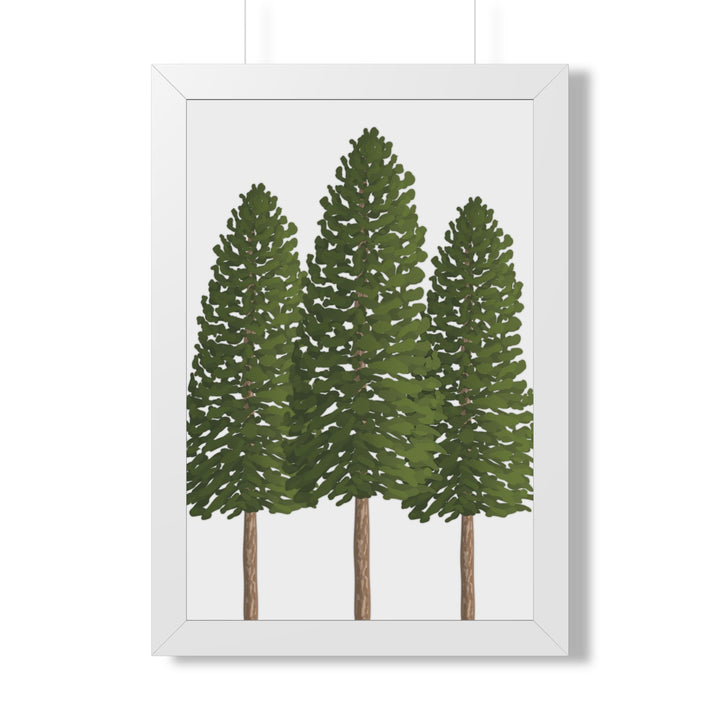 Ponderosa Pine Framed Print – Wall Art