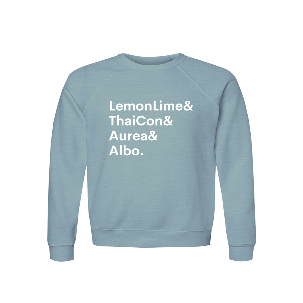 Apparel-DTG-Sweatshirt-Bella-3901-XL-HeatherBlueLagoon-Unisex-CF-20260810202153637