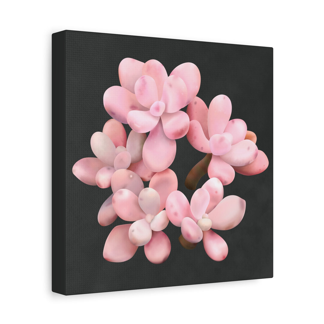 Pink Moonstone Canvas Print – Botanical Wall Art