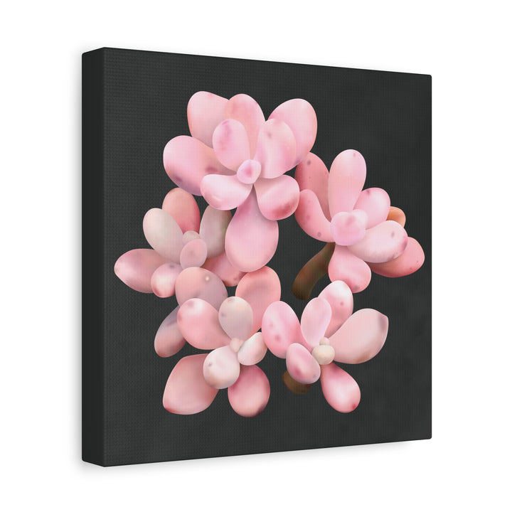 Pink Moonstone Canvas Print – Botanical Wall Art
