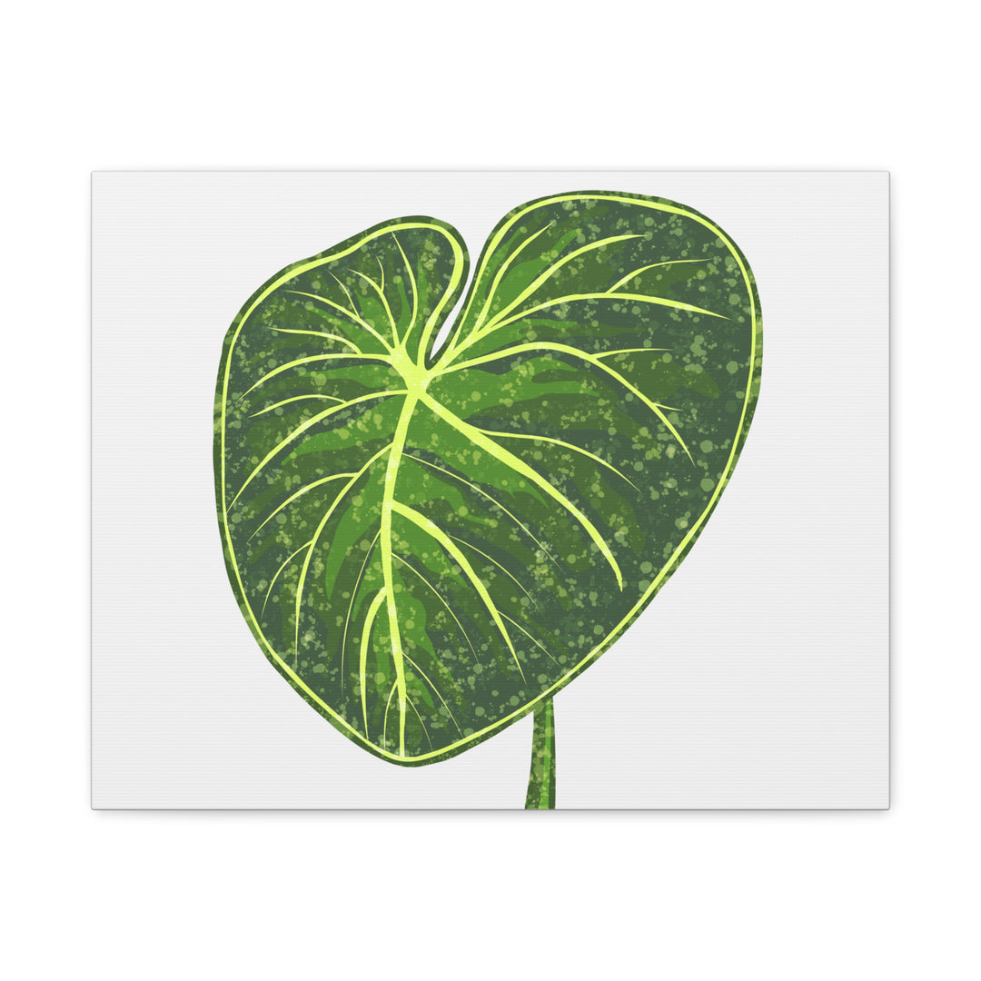 Philodendron Gloriosum Canvas Print Stretched Wall Art Botanical Leaf Print Matte Finish Gallery Wrapped Canvas