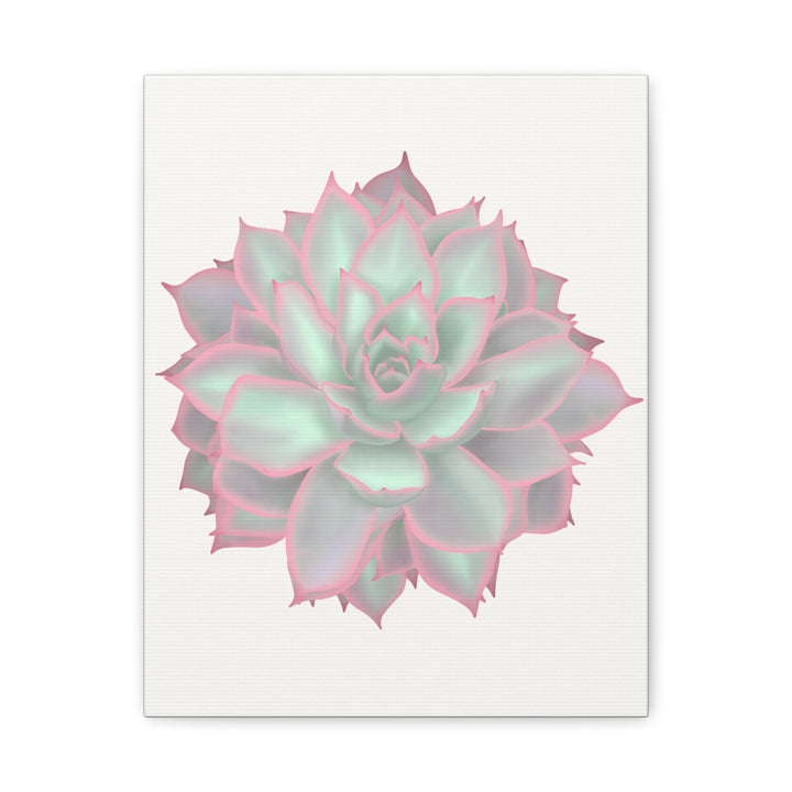 Echeveria Violet Queen Canvas Wall Art Rosette Succulent Print With Matte Finish