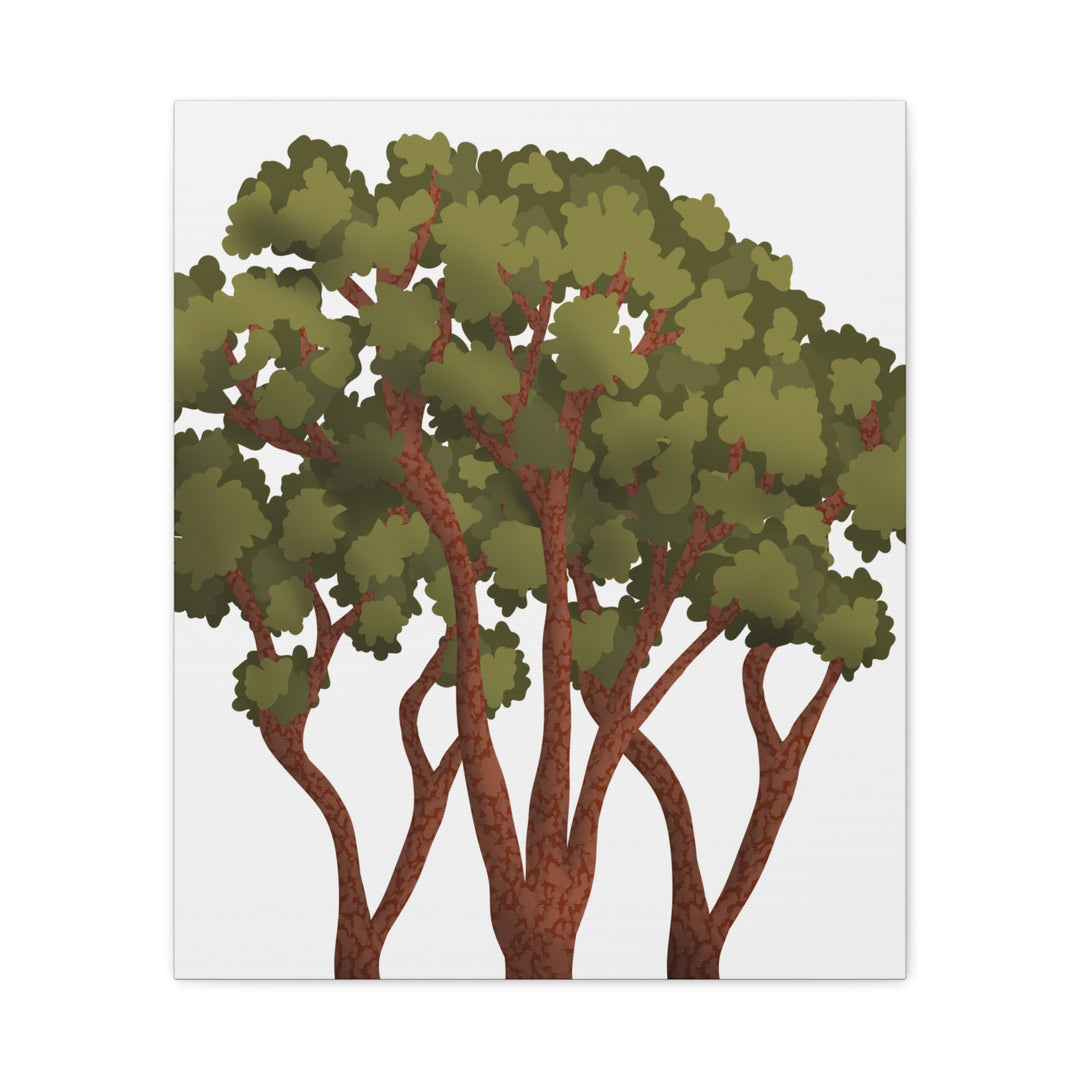 Pacific Madrone Canvas Print – Wall Art