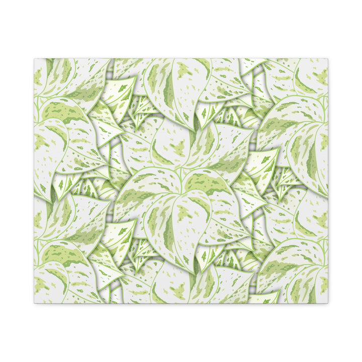 Snow Queen Pothos Canvas Print With Variegated White Leaves In Matte Finish For Modern Home Decor