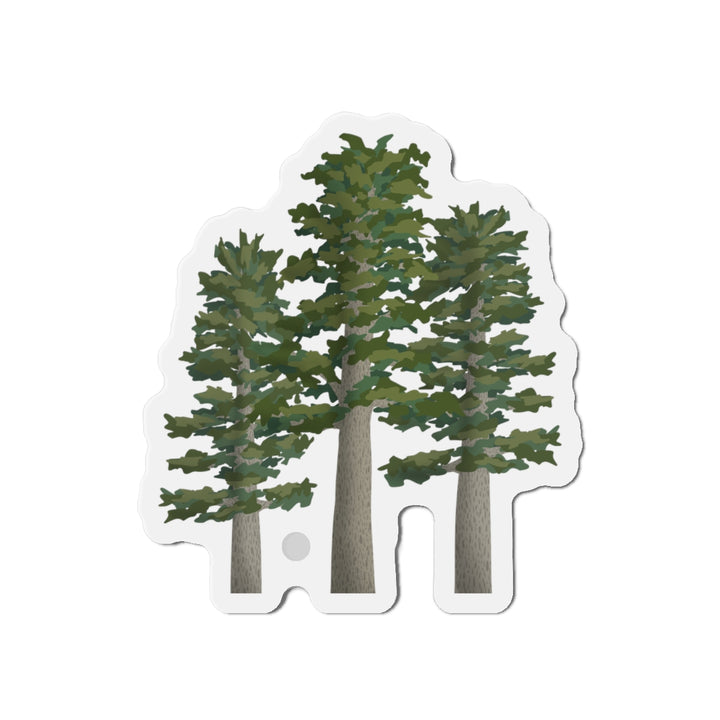 Sitka Spruce Magnet – Flexible Die Cut Vinyl