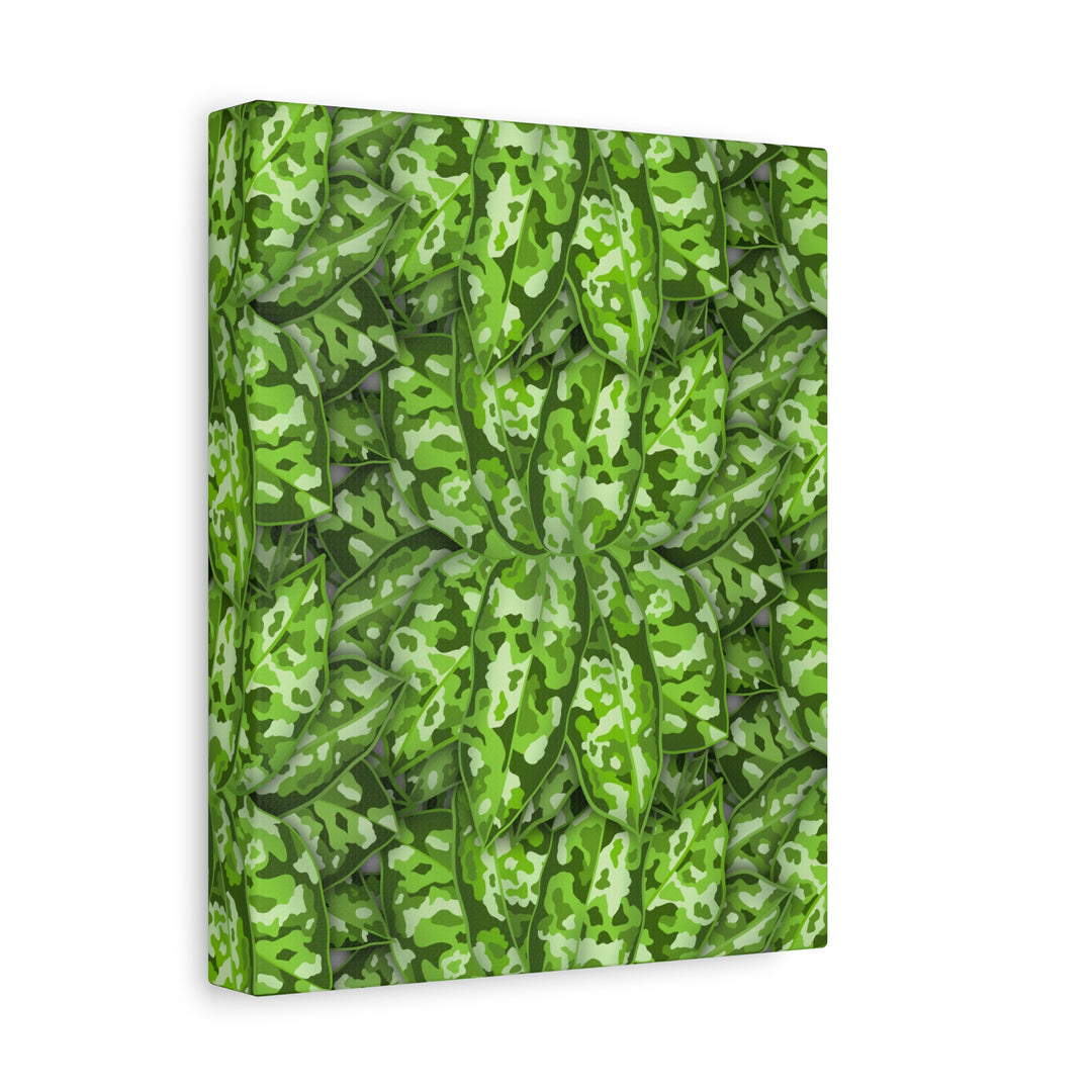 Aglaonema Pictum Canvas Wall Art Rare Plant Print Matte Finish For Modern Home Decor