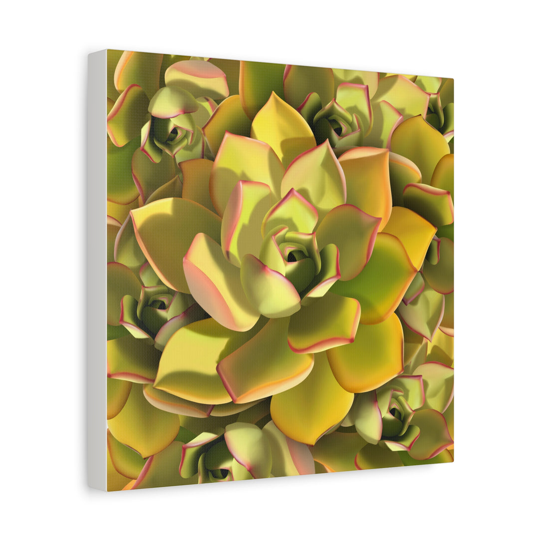 Succulent Canvas Art Vibrant Aeonium Print On Matte Canvas Wall Decor 12x18 Inches Indoor Home