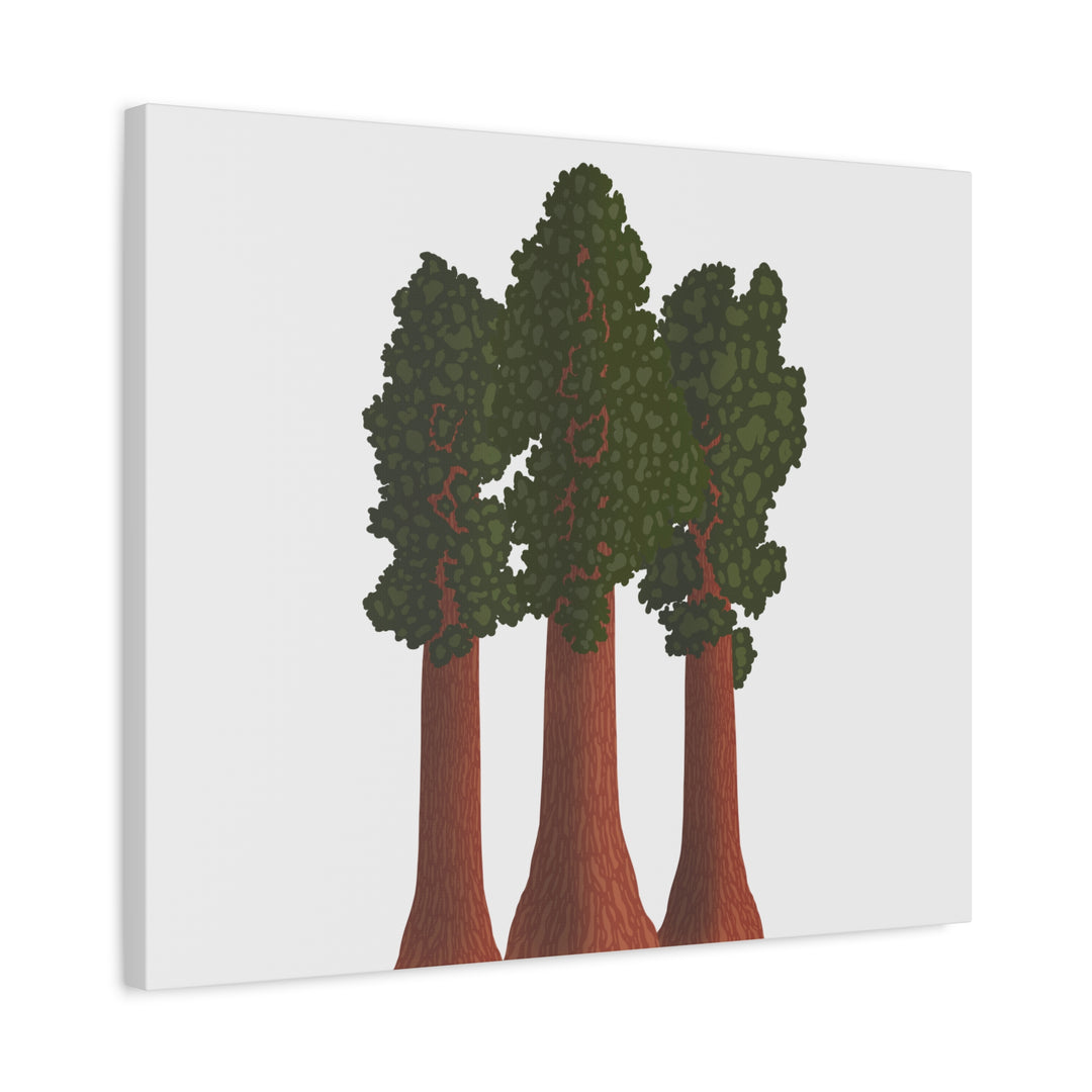 Giant Sequoias Canvas Print – Wall Art