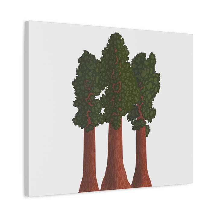 Giant Sequoias Canvas Print – Wall Art
