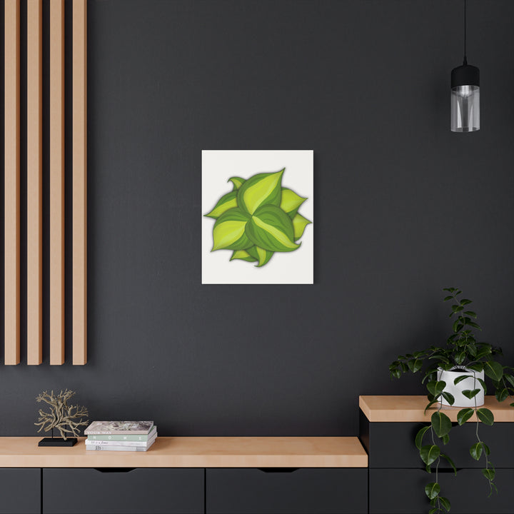 Philodendron Brasil Canvas Print Matte Stretched Canvas Indoor Plant Art For Modern Greenery Decor