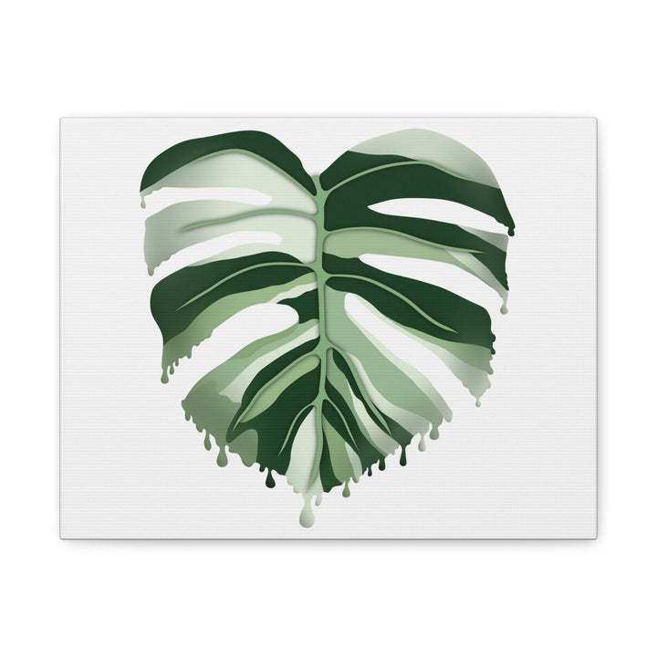 Melting Monstera Albo Canvas Large Indoor Wall Art Print Matte Finish Tropical Home Decor