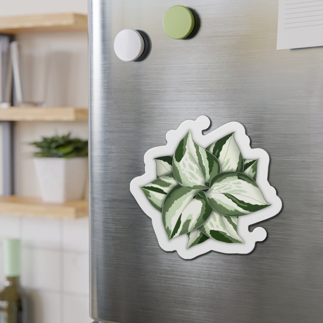 Manjula Pothos Magnet