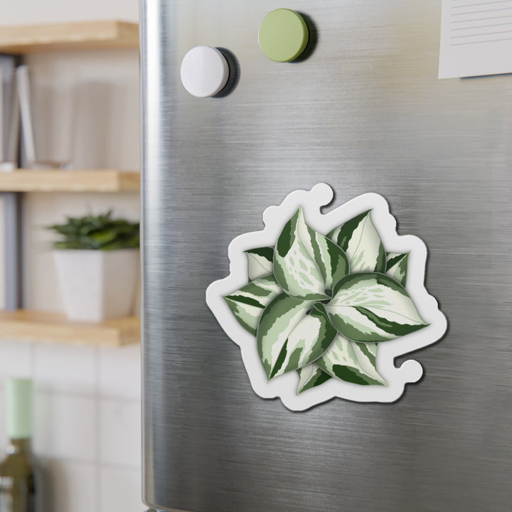 Manjula Pothos Magnet
