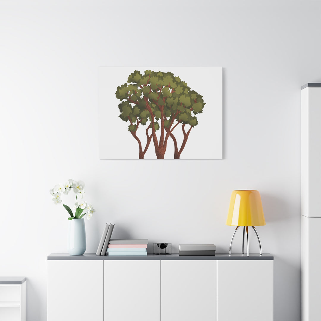Pacific Madrone Canvas Print – Wall Art