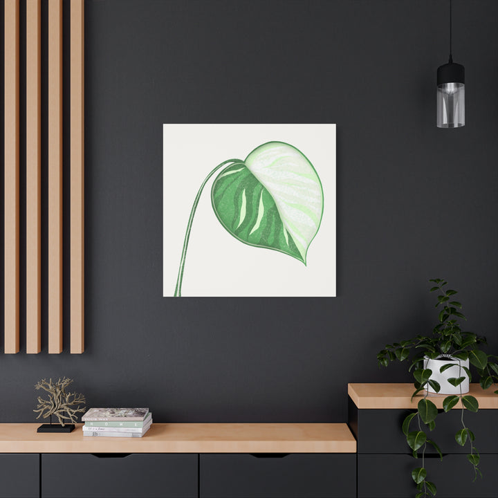 Monstera Albo Canvas Large Stretched Premium Quality Cotton Canvas Wall Art Tropical Leaf Poster Decor