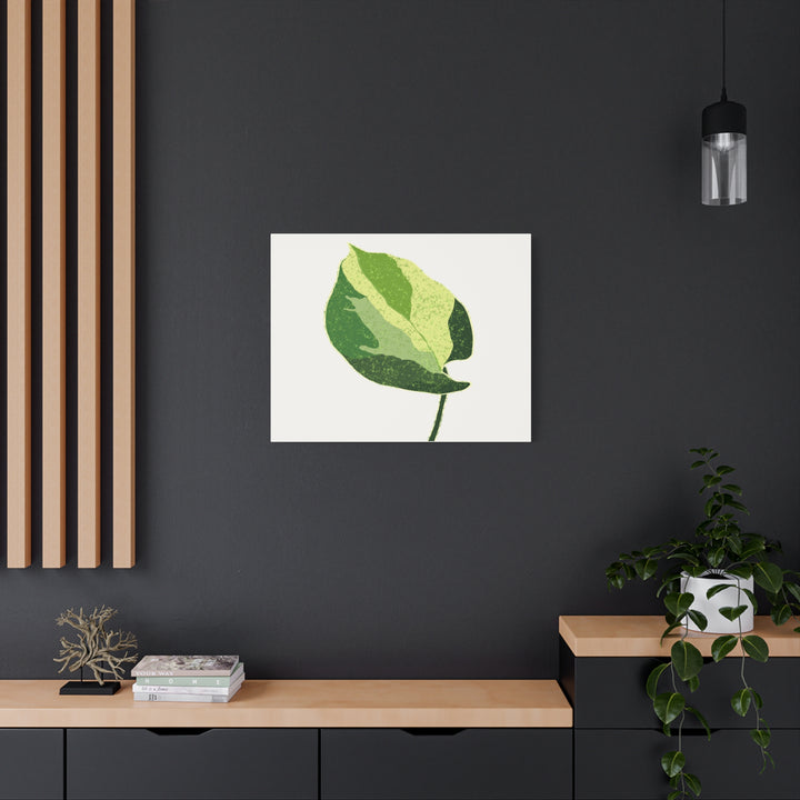 Manjula Pothos Botanical Canvas Print Matte Finish Stretched Canvas Wall Art 1.25 Inch Depth