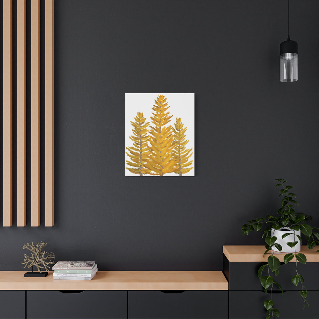 Western Larch Canvas Print – Wall Art