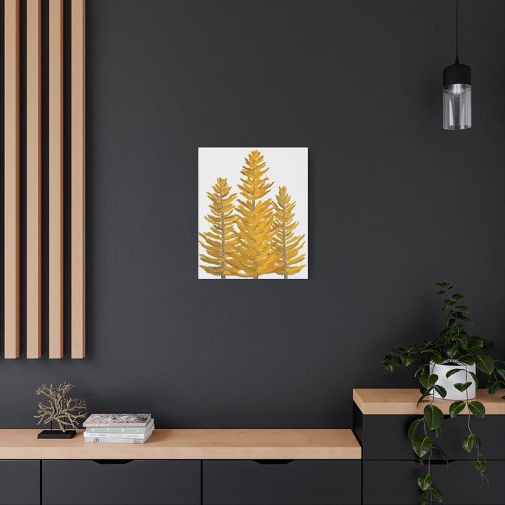 Western Larch Canvas Print – Wall Art