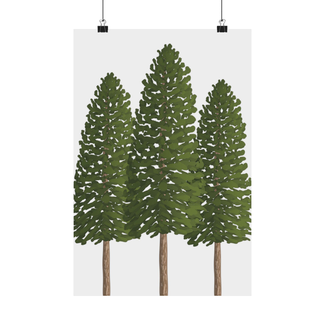 Ponderosa Pine Print – Unframed Wall Art