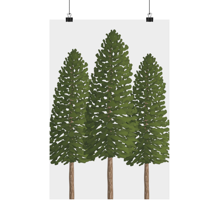 Ponderosa Pine Print – Unframed Wall Art