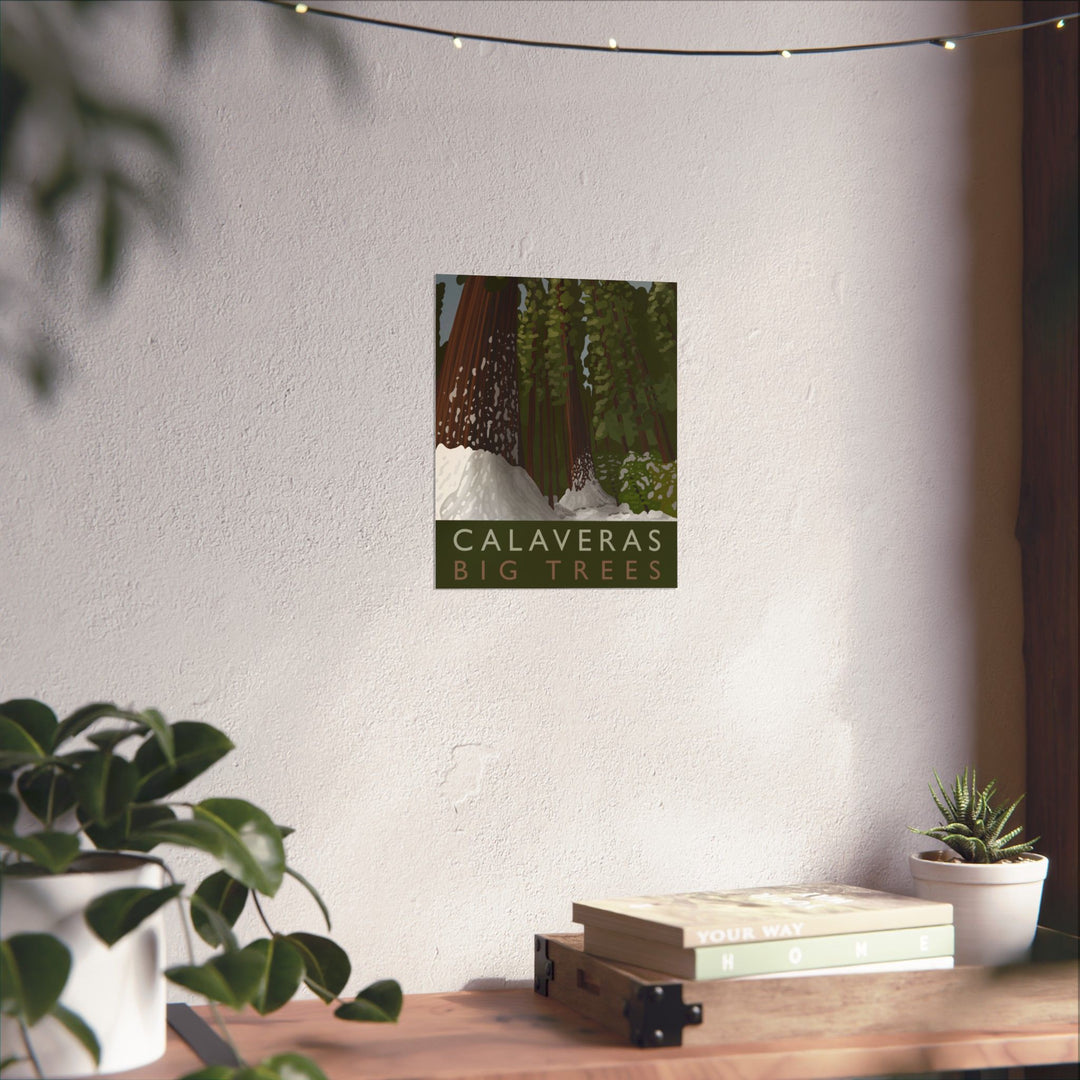 Calaveras Big Trees Print – Unframed Wall Art