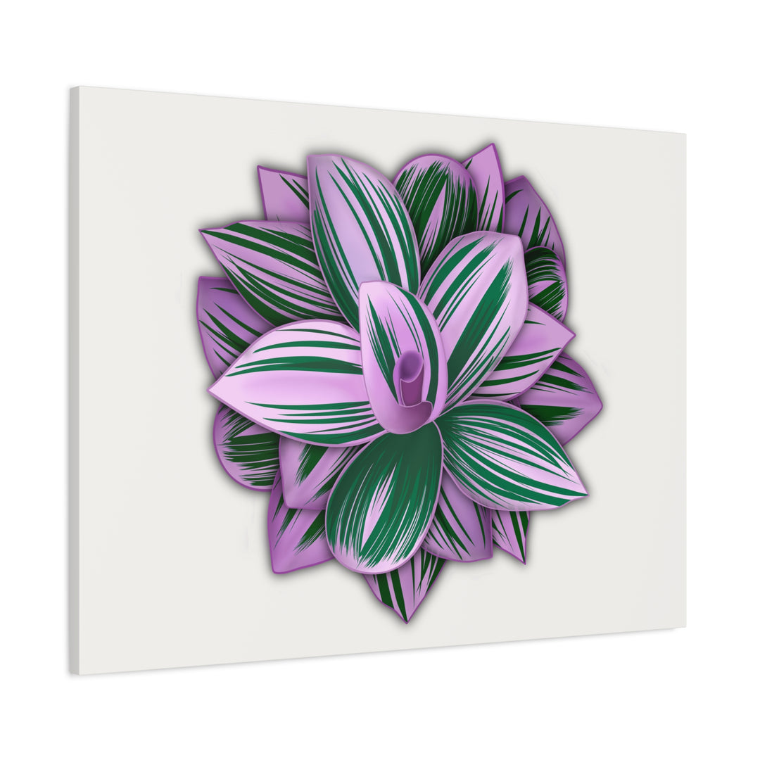 Tradescantia Nanouk Canvas Botanical Wall Art Print Pink Green Foliage On Stretched Cotton Canvas