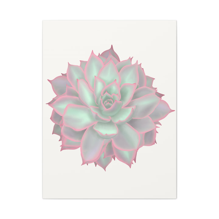 Echeveria Violet Queen Canvas Wall Art Rosette Succulent Print With Matte Finish